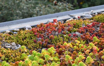 the cost of Uplowman green roof installation