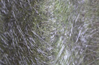 Uplowman fibreglass roof work